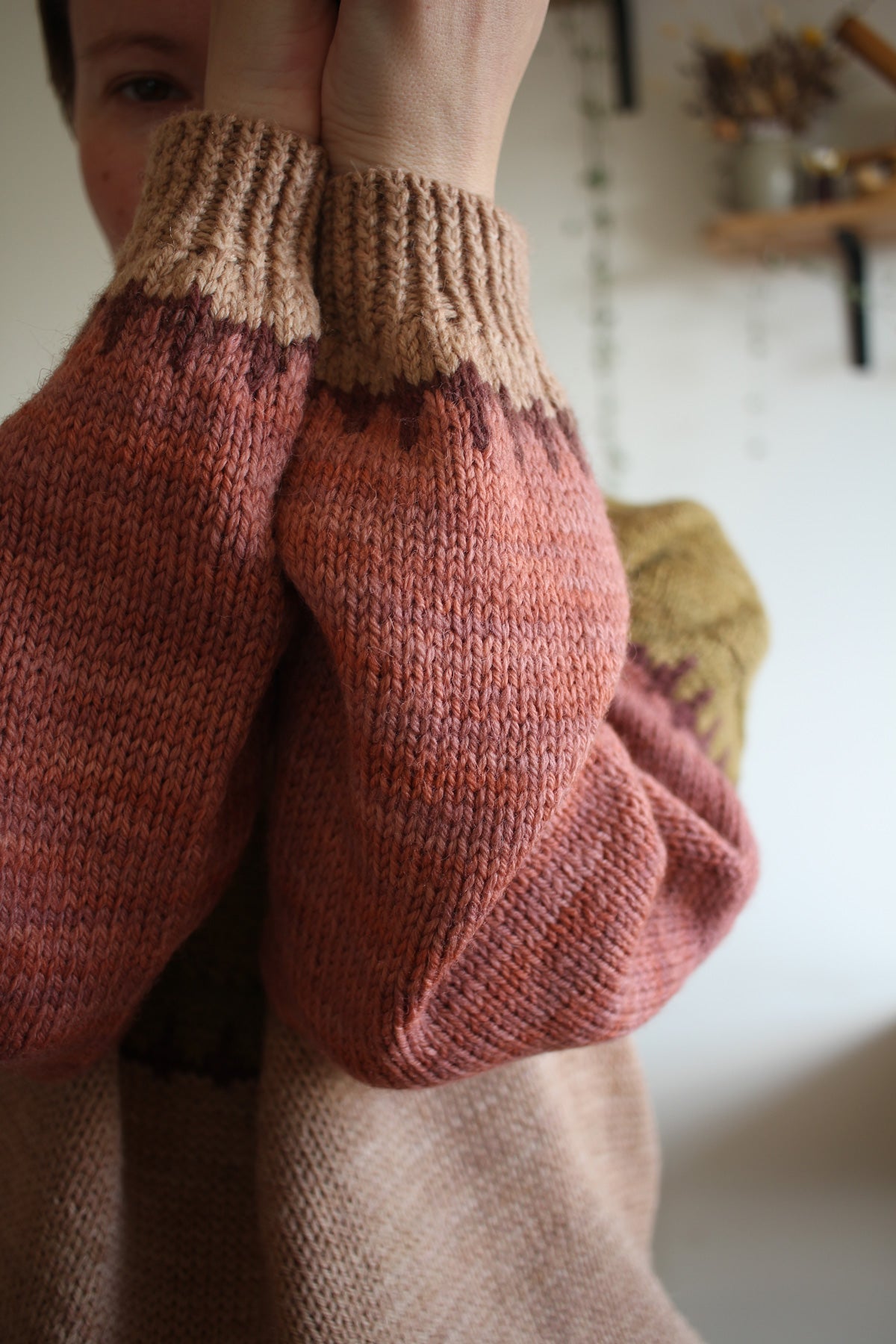 Funky Turtle – Teti's knit garden